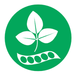 01-soja-alergeno soja