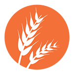 06-gluten-alergeno gluten