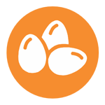 12-huevos-alergeno huevos